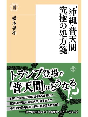 cover image of 「沖縄・普天間」究極の処方箋